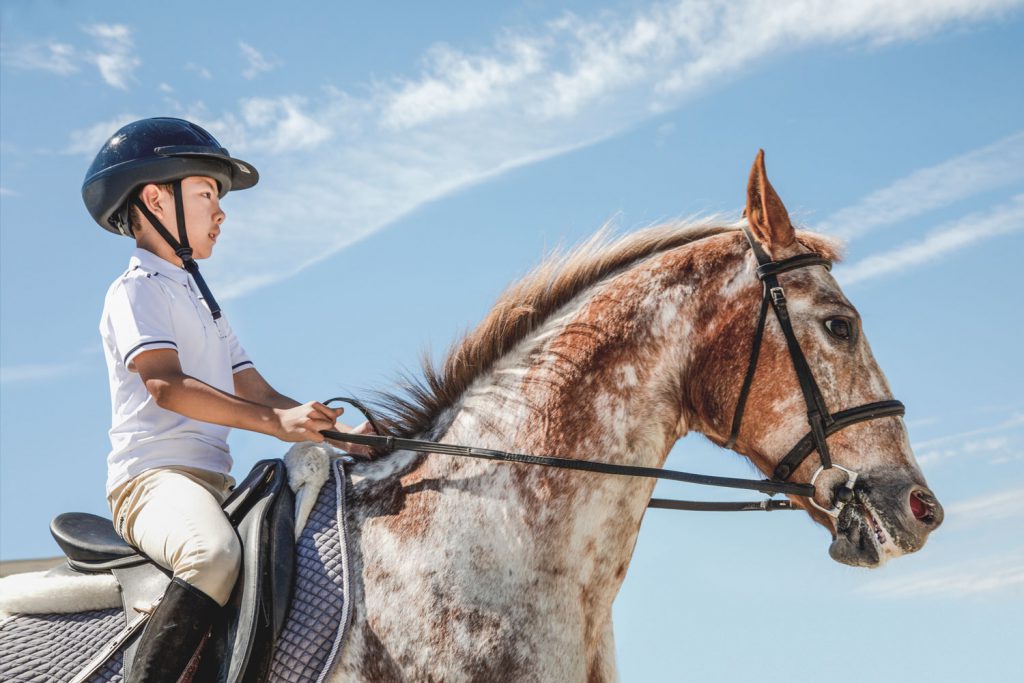 Equestrian Courses Pacific Banner Riding Club